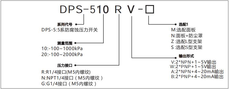 DPS-5數(shù)顯壓力傳感器型號(hào)說明